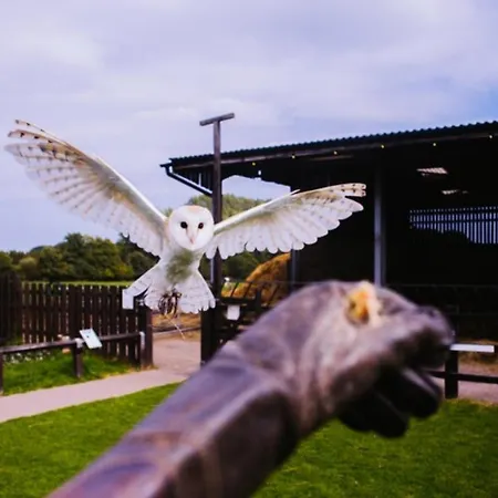 酒店 Doolin Inn 杜林