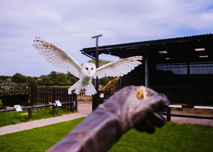 Hotel Doolin Inn Doolin